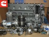 Auto Parts for Cummins Engine