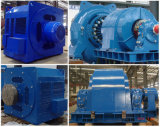 Turbine Generator for Hydro Power Plant and Water Turbine