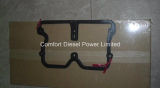 3017750 Gasket Head Cover for Cummins Nta855 Engine Parts