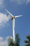 10kw off-Grid Wind Turbine Generator (FD8-10KW)