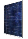 High Efficiency Poly 230w Solar Module With 6'' Cells