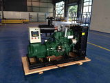 Amico 30kw Biogas Generator