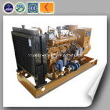 CE Approved Small Power Plant Natural Gas Generator (50kw)