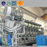 Best Service Biogas Power Generator