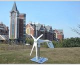 600W Horizontal High Quality Wind Energy Generator for Farm Use