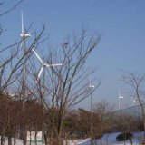 Alternative Energy Wind Power 10kw Wind Generator Turbine