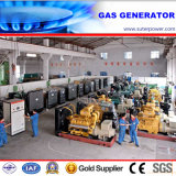 Water Cooled 200kVA/160kw Natural Gas Generator with ATS