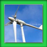 Rooftop Wind Turbines of Mainenance Free (CH-TYN428)