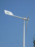 Anhua 10kw off-Grid Project Used High Quality Wind Power Generator