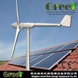 New Hybrid System! Home Use 2kw Solar and Wind Hybrid Generator for Sale