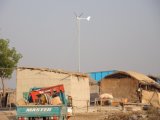 Small Wind Turbine Generator 1000W for Household