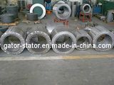 Rotor Back Iron Core Lamination for Wind Turbine Generator