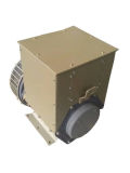 Faraday Permanent Magnet Generator Alternator AC Diesel Generator Three Phase Alternators (50Hz)