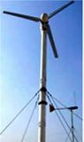 2000W Wind Generator (ldw2000w)