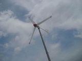 Wind Mill Generator