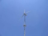 10kw Wind Turbine Generator (FD8-10KW)