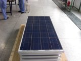 Poly-Crystalline 140W Solar Panel