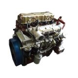 Diesel Generator (BR495BZD)
