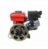 Small DC Gasoline Generator for Electric Vehicle Charging