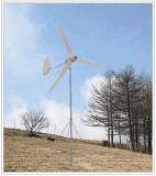 Wind Generator (600W)