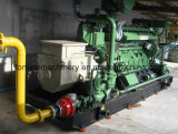 Hot Selling Bio-Gas Generator Set 260kw