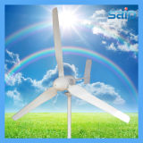 2014 Newest Ew-600W Small Horizontal Axis Wind Turbine 600W