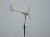300w Wind Mill
