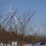 Wind Electric Generator 10kw for Public Power Generation