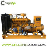 20kw Biogas Biomass Gas Nature Gas Generator Set (20kw-100kw)