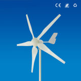 400W 5 Blades Wind Generator (Pwt400/10-L)