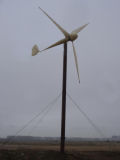 Wind Turbine Generator (10kw)
