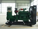 Amico 50kw LPG Generator