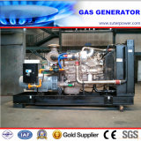250kVA/200kw Open Type LPG/CNG/Biogas/Natural Gas Generator