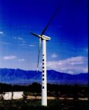 Wind Generators Of All Sizes