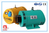 Stw Series Brushless Synchronous Generator