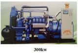 300kw Gas Generator Set (10-500kw)