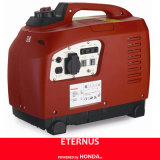 Factory Power Generator with CE Certificate (SF1000)