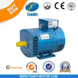 Electric Alternator 220V AC Power Generator