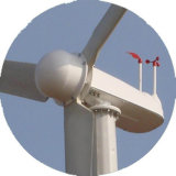 Alternative Energy Power Generator 10kw Wind Turbine Generator