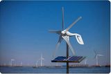 500W China Manufacturer of Wind Generator (Wind Turbine Generator 100W-20KW)