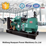 Factory Directly Sale 100kw Ricardo Power Generator, Water Cooled 50kw/62.5 kVA Diesel Electric Generator