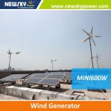Renewable Energy Mini Wind Power Generator