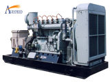 160kw Flexible Maintenance Plan Natural Gas Generator Set
