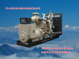 Cummins Diesel Generator Set (JMC500)