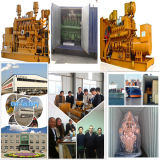 20-1000kw Natural Gas Generator Set Methane Gas LPG, LNG, CNG Fuel for Gas Power Plant Home Generating Sation