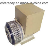 AC Generator Alternator Warranted for 24 Months Magnet Generator (60Hz) Wuxi Faraday Alternators Fd2b