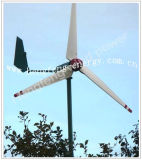 Windmill Generator (HF2.8-600W) 