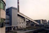 Power Plant/Biomass Power Plant/Power Generator