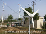 500W Small Horizontal Axis Wind Generator (100W-20KW)
