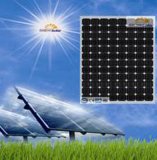Solar Module (GP/M/96/240W Module Series)